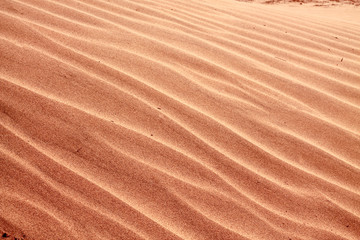 Shapes of the desert sand