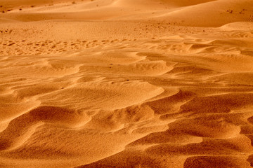Shapes of the desert sand