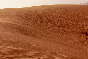 Shapes of the desert sand
