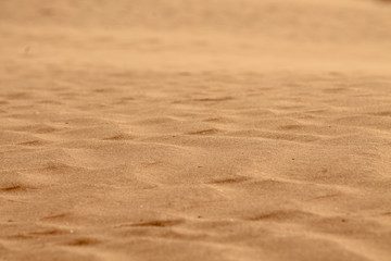 Shapes of the desert sand