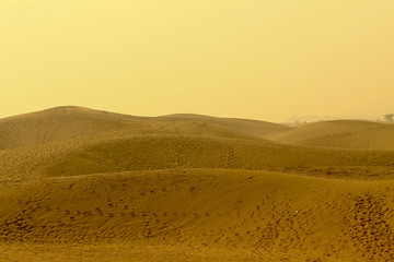 Shapes of the desert sand
