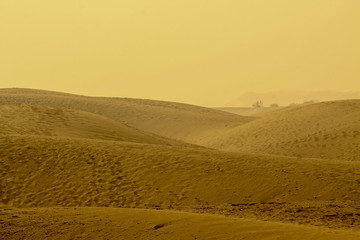 Shapes of the desert sand