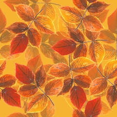 Yellow-red autumn leaves with transparent elements on yellow background