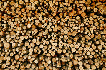 Firewood stacked. Wooden background