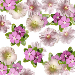 Beautiful floral background of mallow and gloxinia. Isolated