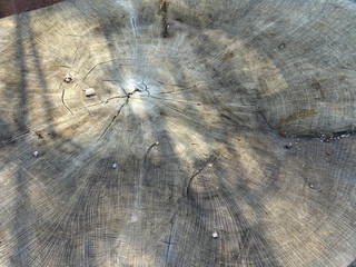 geschnittene Holzplatte Struktur Textur 
