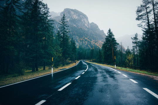 Road in the spring forest in rain. Perfect asphalt mountain road in overcast rainy day. Roadway with reflection and pine trees. Vintage style.  Transportation. Empty highway in foggy woodland. Travel