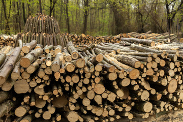 the making of charcoal, Istanbul, Turkey
