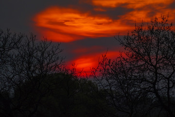 Fototapeta na wymiar Abendrot, Sonnenuntergang mit Silhouette von Bäumen