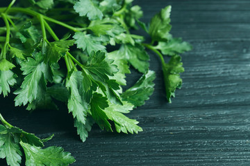 Fresh parsley closeup. On a black wooden background. Free space for text.