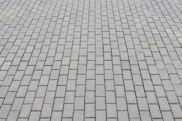 Paving slabs. Vertical view. Background. Texture.