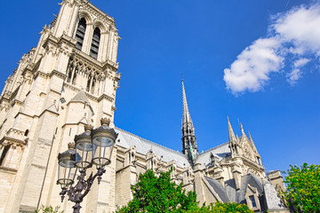 Fototapeta na wymiar Side view of Notre Dame of Paris