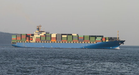 Container ship carrying goods