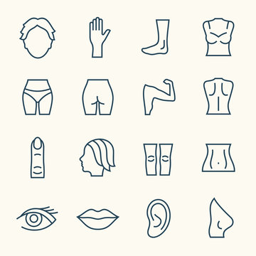 Body parts line icon set