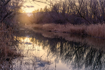 Atardecer en el rio Henares