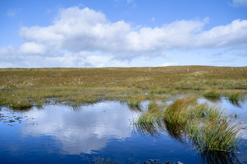 Reflections in a small pond, Nolsoy, Faroe Islands