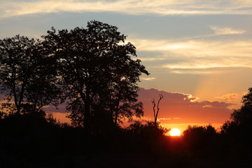 Sonnenuntergang Krüger Park / Sundown Kruger Park /