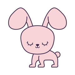 cute rabbit animal character