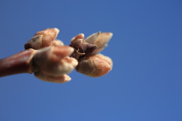 Nature at its best, new life