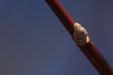 Nature at its best, new life