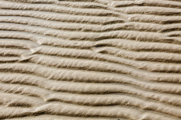 Rippled sand on the beach in the summer during low tide