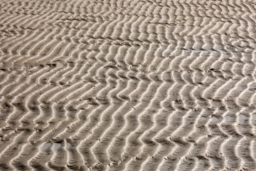 Rippled sand on the beach in the summer during low tide