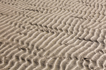 Rippled sand on the beach in the summer during low tide