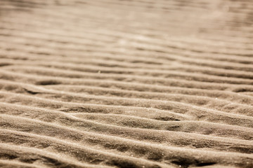 Rippled sand on the beach in the summer during low tide