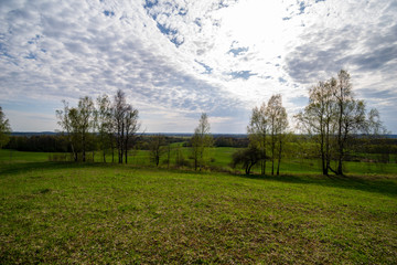 Fototapeta premium fresh green meadow fieldswith grass pattern in wet summer