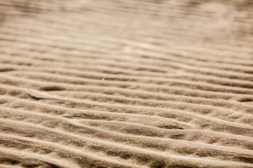Rippled sand on the beach in the summer during low tide