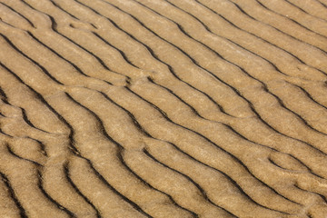 Rippled sand on the beach in the summer during low tide