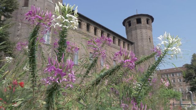 Flowers by Castello degli Acaja in Piazza Castello, Turin, Italy, Europe