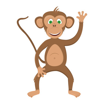 Illustration a brown funny  monkey on a white background.