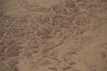 yellow sand background