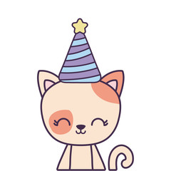 cute cat animal with hat party