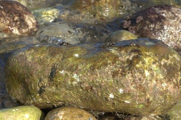 Large sea stones in sea water close-up