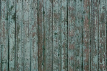Fototapeta na wymiar gray green wooden texture of old worn boards in the wall of the fence