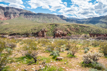 Beautiful landscape in the desert of Utah - travel photography