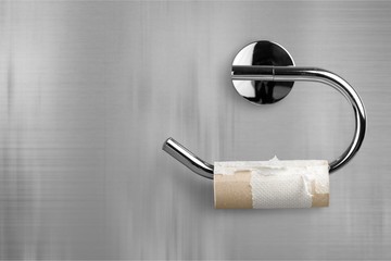 A Roll of Toilet Paper Hanging on a Toilet Paper Holder