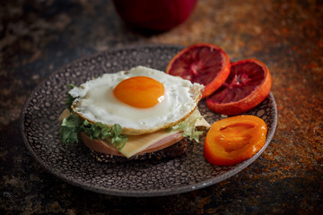 Grain bread with fried egg, tomato, cheese and bacon on ceramic plate with red orange 