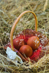 colorful easter eggs in basket