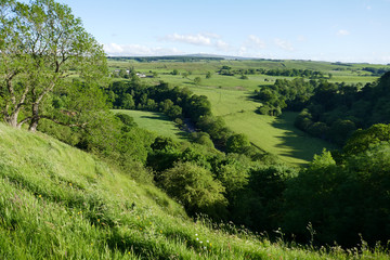 Obraz premium landscape with green field and blue sky