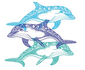 The bottlenose dolphin. Meditative coloring. Mandala, dudling drawing. Drawing by hand. Coloring for children. Points, stripes, arrows.