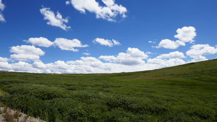 Fototapeta na wymiar field and clouds