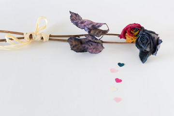 Colorful rose buds and paper hearts on white background