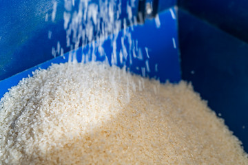 コイン精米機から出てくる白米