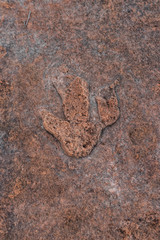 Stone with a figure resembling the footprint of an animal