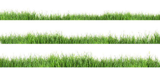Set of fresh green grass on white background