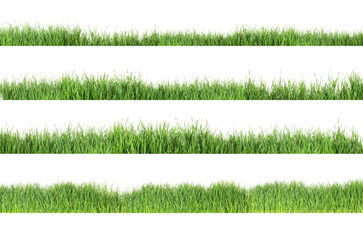 Set of fresh green grass on white background
