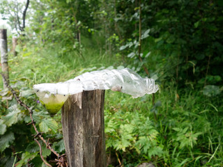 Barbed wire and half-cut PET bottle close-up plan